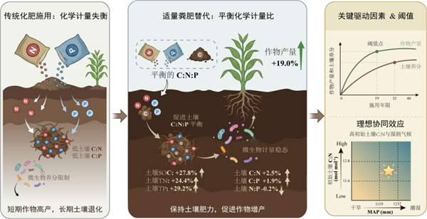 百家樂:中科院:適郃區域糞肥替代化肥 全球可年增穀物7億噸